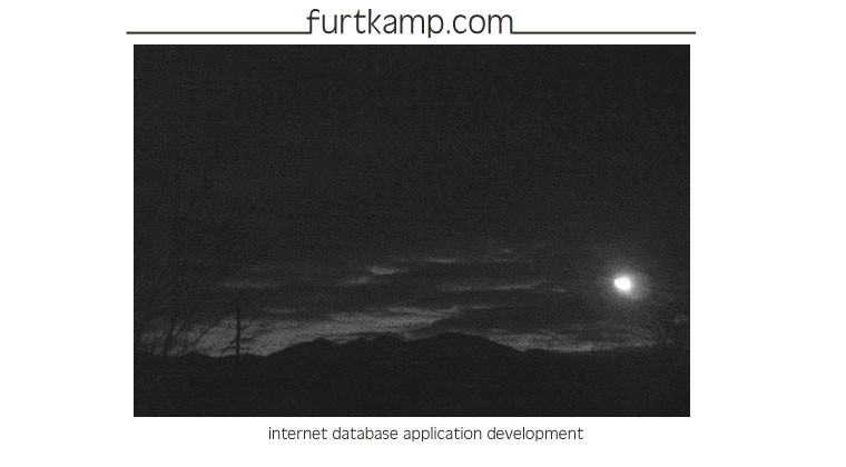 furtkamp.com intranet database application development